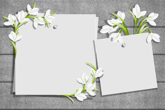 Relief board with photo and place for inscription. Template for the inscription with snowdrop flowers. Spring frame. Inspiration board. Mockup with blooming flowers
