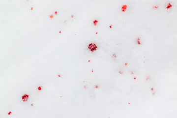 Red blood on white snow as a background
