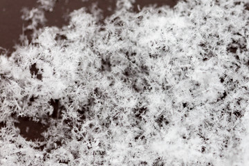 White snowflakes on nature as a background