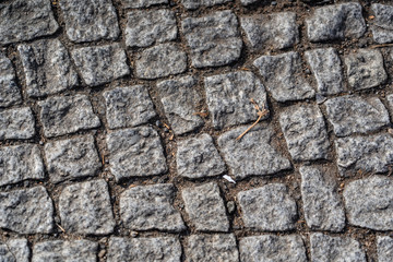 Background image of old cobblestone road backlit with low sunlight, Paving stones texture, Stone pavement with green grass. Texture or background