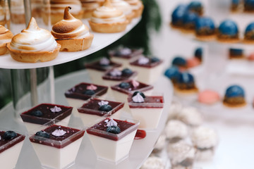 Candy bar, contains fruits, cup cakes, chocolate and another sweet desserts on the wedding. Banquet service. Catering buffet style .