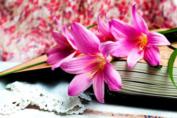 Pink lily flowers on an open book