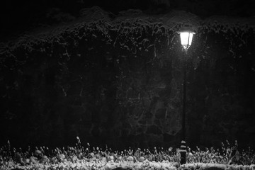 Winter 8 © Skarbek