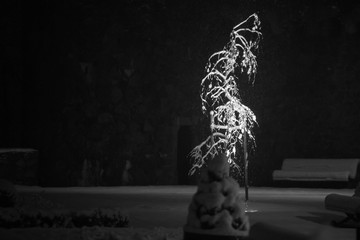 Winter 6 © Skarbek