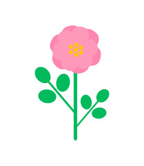 Pink rose-hip flower in cartoon style. Vector isolated blooming bud with green leaves, botanical icon with color floral element, romantic spring blossom