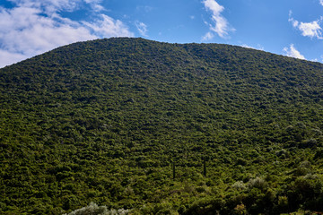 The green hills of Kefalonia, Greece