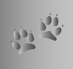 Fototapeta na wymiar dog paw footprint with texture