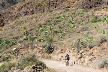 einsamer Mountainbiker durch Steppe Gran Canarias