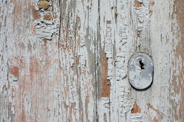 Wooden natural background for design, banner and layout