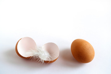 brown egg and eggshell with feather on white background
