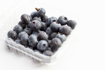 blueberries isolated on white background on container