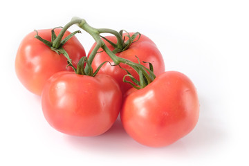 tomatoes isolated on white