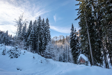 Via Crucis on the Lussari mount