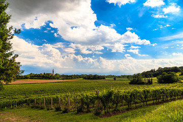 Fototapeta na wymiar Storm approaching the vineyards of Collio, Udine, Friuli Venezia-Giulia, Italy
