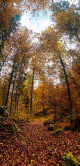 Obraz premium trekking path in an autumn day in the alps