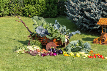 harvested still life