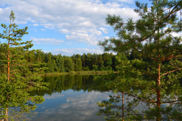 Obraz premium Lake in a pine forest. View of the lake through pine branches. Blue lakes in Chernihiv region, Ukraine