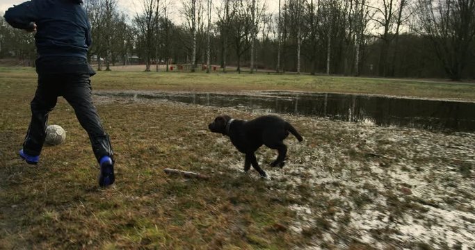 Young boy and cute puppy chasing after an old ball through wet meadows