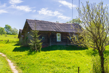 Obraz premium Old wooden one-storey house on the edge of the forest on the hill