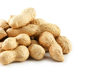 Peanuts. Two peeled nuts isolated on white background. Peanut macro.