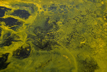 textures colors painting green blue 