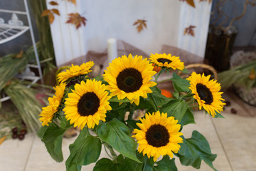 Bright decorative sunflowers