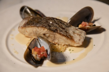 Grilled fish steak with shellfish and sauce on white dish.