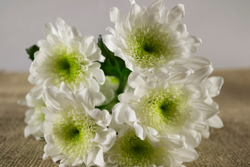 white bouquet of flowers