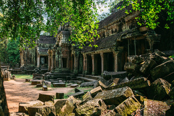 Fototapeta na wymiar Temples Angkor Wat in Cambodia, ta Prohm, Siem Reap