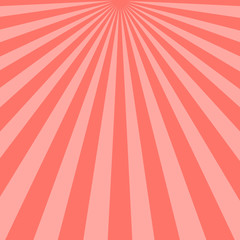 Abstract pink sunbeams background. Vector illustration.