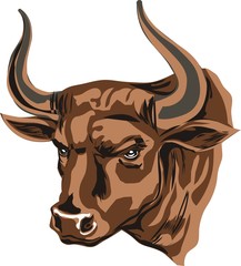 brown buffalo with big horns
