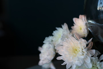 White chrysanthemum flowers on the table with beautiful background and illumination