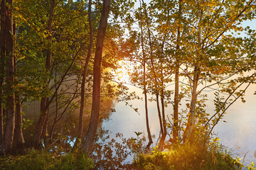 Obraz premium Morning fog at north lake