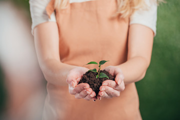 selective focus of woman holding young green plant on blurred background, earth day concept