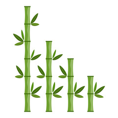 Fototapeta na wymiar Green bamboo branches and leaves. Vector illustration.