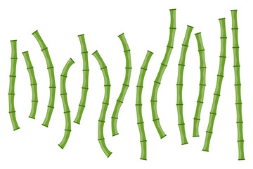 Green bamboo branches isolated. Vector illustration.