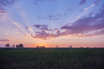 sky at sunset with red-purple clouds in an open green field
