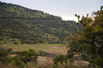 Paysage Mexique