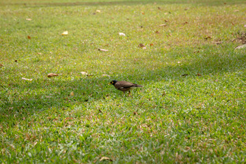 Beautiful morning light in public park