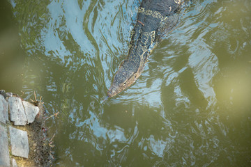 Beautiful morning light in public park