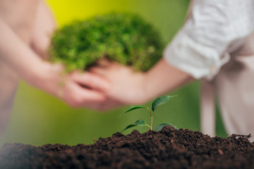 selective focus of growing young plant, and woman and child holding plant on blurred background, earth day concept