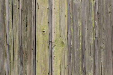 Old wooden fence with paint residues. For design, banner and layout.