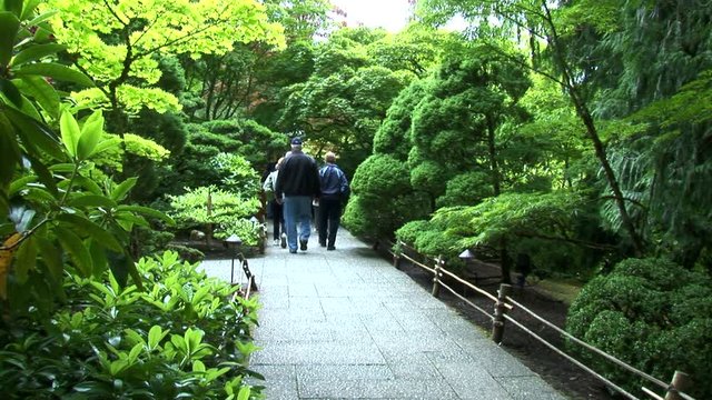 Japanese Garden Path