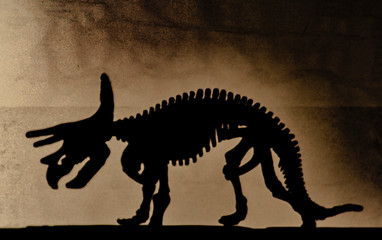 stylized shadow of a dinosaur skeleton on a rough surface