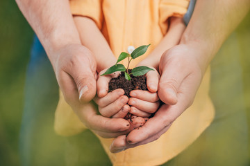 selective focus of man holding kid hands with young plant on blurred background, earth day concept