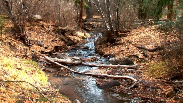 Frijoles Creek-ws-zoom
