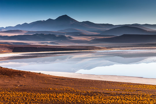 Couple walking in Piedras Rojas (Red Rocks), Deserto do Atacama (Atacama Desert), Chile