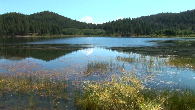 Spooner Lake Reflection-ws