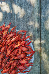 Crawfish cooked and served on wooden background