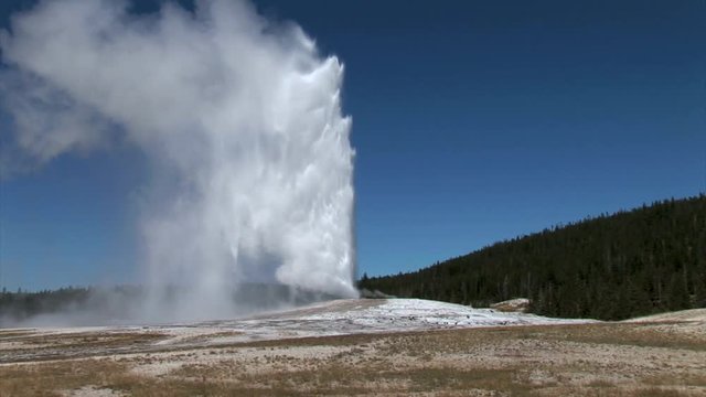 Old Faithful Erupts